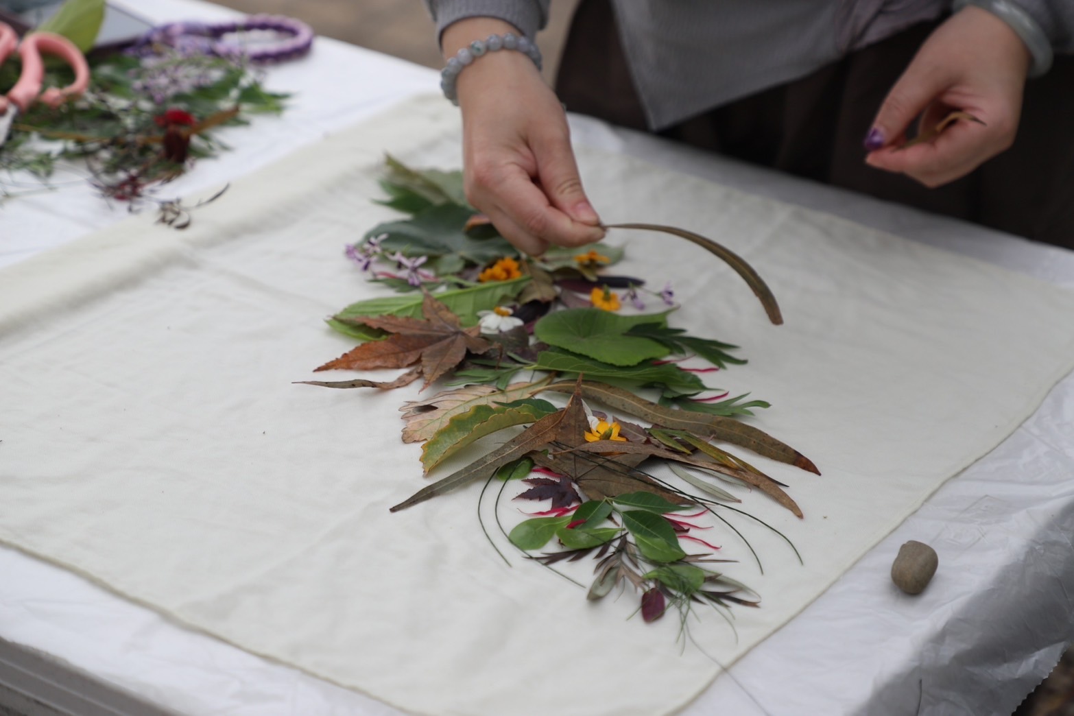 學員排列葉片構圖